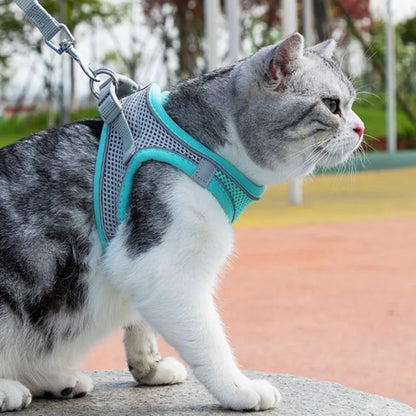 Cat Harness Leash Adjustable Dog Cat Collar for French Bulldog Harness