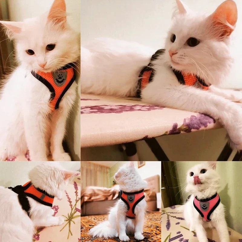 Cat Harness Vest Walking Lead Leash For Puppy Dogs Collar Polyester