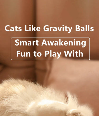 Cat Interactive Ball Smart Cat Toys Indoor Automatic Rolling Magic Ball