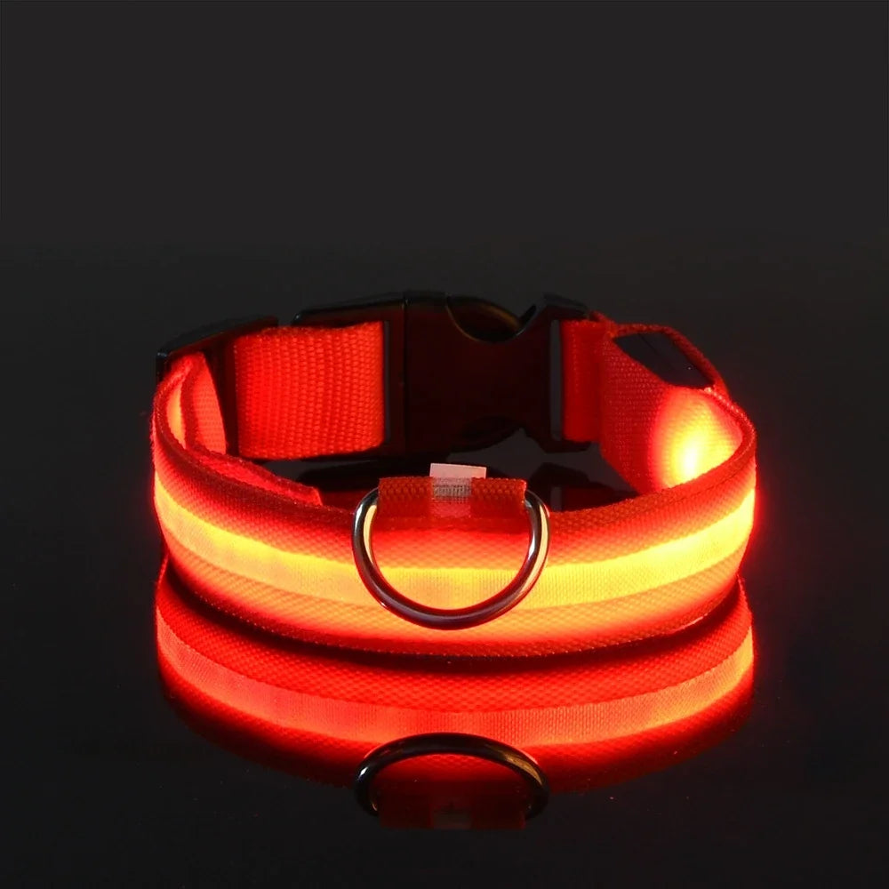 Dog Collar LED Night Safety Flashing Glow In The Dark Pet Dog Leash