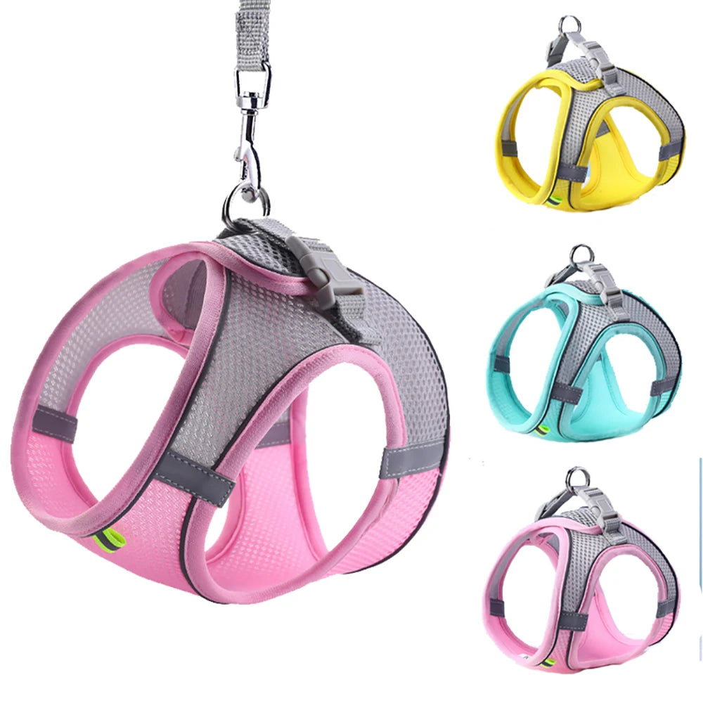 Cat Harness Leash Adjustable Dog Cat Collar for French Bulldog Harness