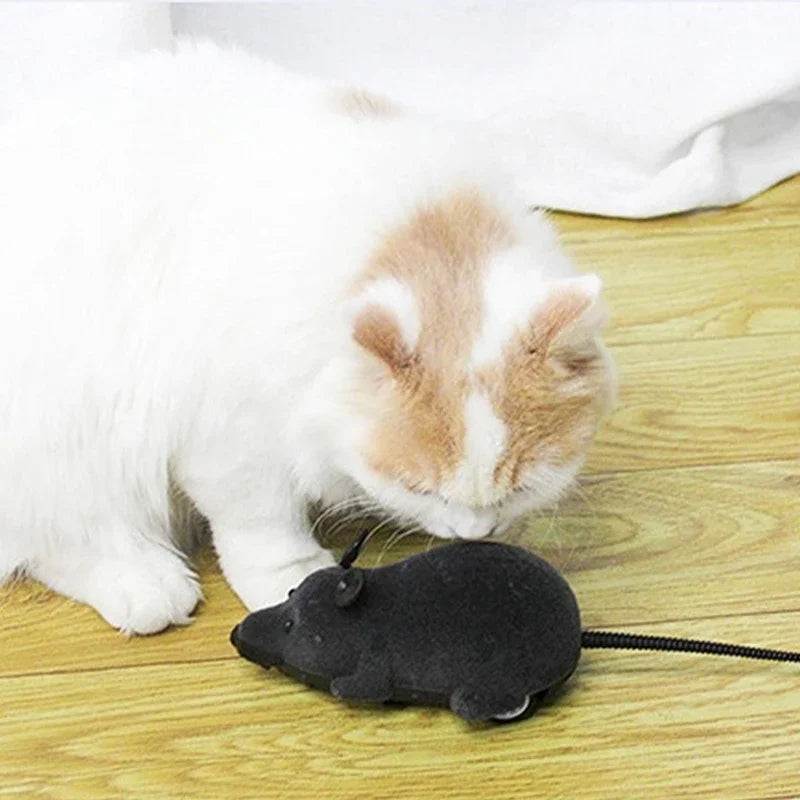 Rat Funny Cat Toy With Remote Control Multicolor Mouse Cute Wireless