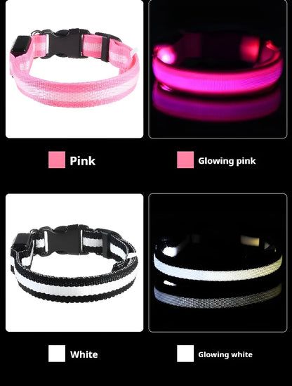 Dog Collar LED Night Safety Flashing Glow In The Dark Pet Dog Leash