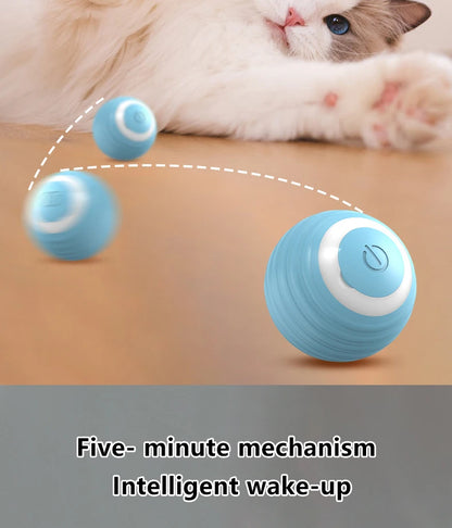 Cat Interactive Ball Smart Cat Toys Indoor Automatic Rolling Magic Ball