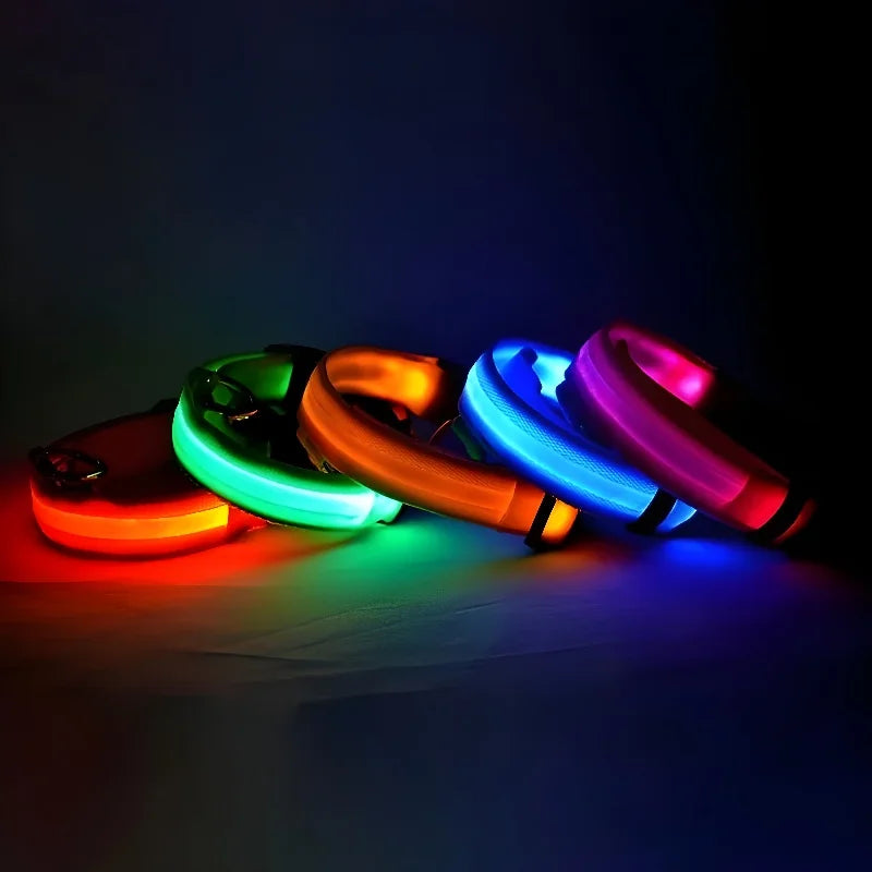 Dog Collar LED Night Safety Flashing Glow In The Dark Pet Dog Leash