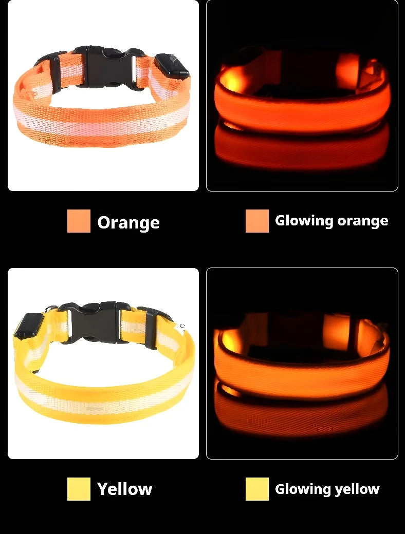 Dog Collar LED Night Safety Flashing Glow In The Dark Pet Dog Leash