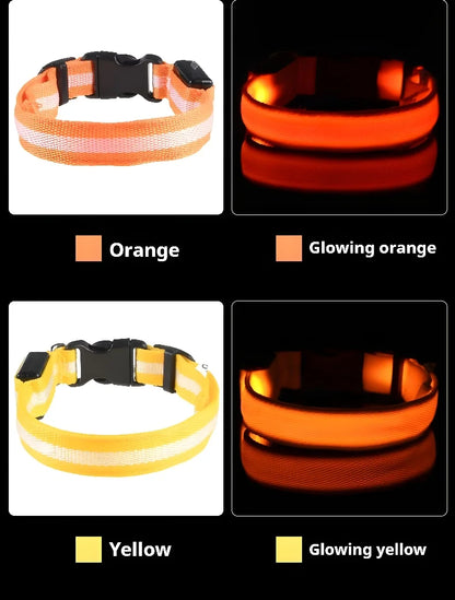 Dog Collar LED Night Safety Flashing Glow In The Dark Pet Dog Leash