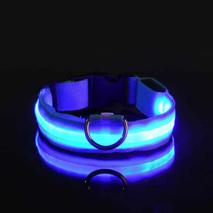 Dog Collar LED Night Safety Flashing Glow In The Dark Pet Dog Leash