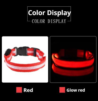 Dog Collar LED Night Safety Flashing Glow In The Dark Pet Dog Leash