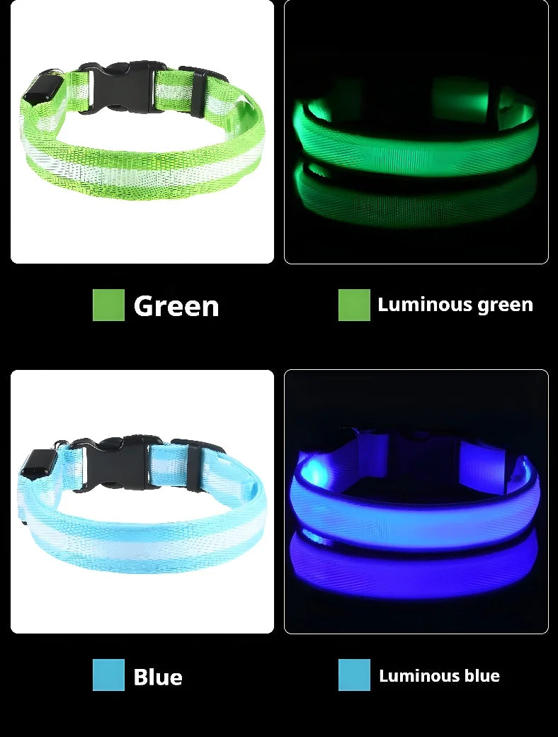 Dog Collar LED Night Safety Flashing Glow In The Dark Pet Dog Leash