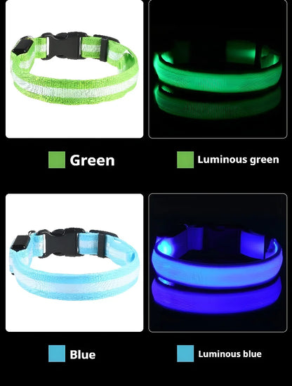 Dog Collar LED Night Safety Flashing Glow In The Dark Pet Dog Leash