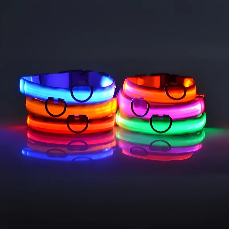 Dog Collar LED Night Safety Flashing Glow In The Dark Pet Dog Leash