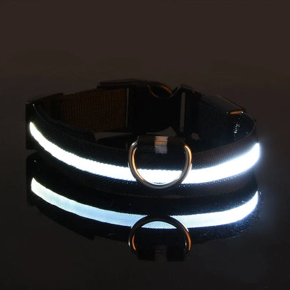 Dog Collar LED Night Safety Flashing Glow In The Dark Pet Dog Leash