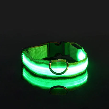 Dog Collar LED Night Safety Flashing Glow In The Dark Pet Dog Leash