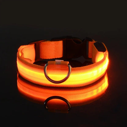 Dog Collar LED Night Safety Flashing Glow In The Dark Pet Dog Leash