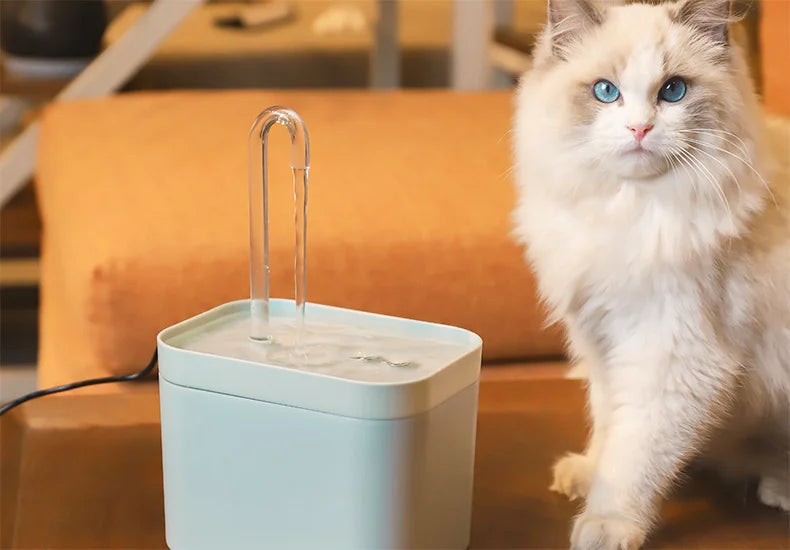 Ultra-Quiet Cat Water Fountain Filter Smart Automatic Pet Dog Water