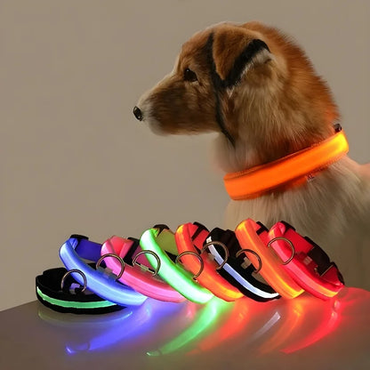 Dog Collar LED Night Safety Flashing Glow In The Dark Pet Dog Leash