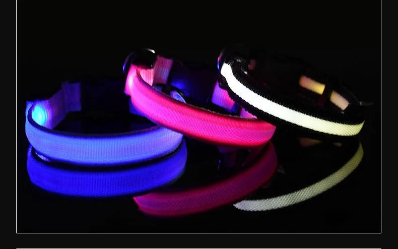 Dog Collar LED Night Safety Flashing Glow In The Dark Pet Dog Leash