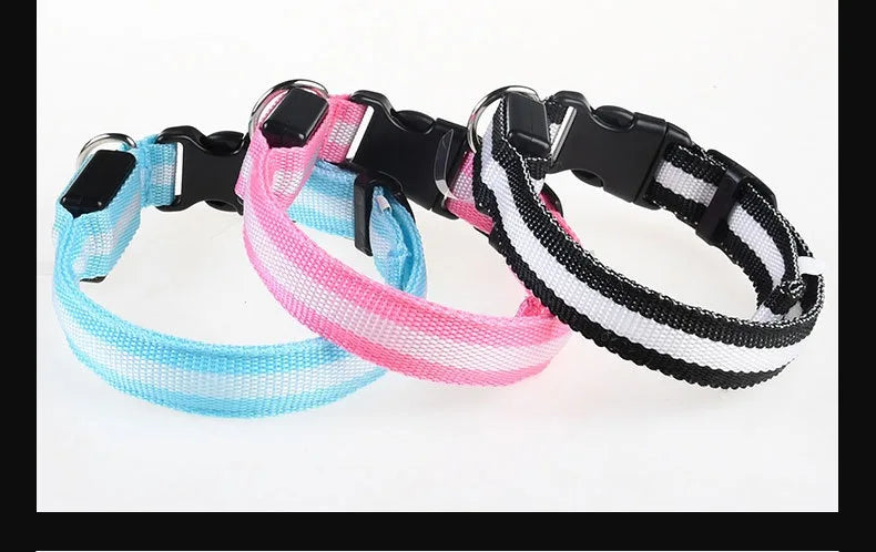 Dog Collar LED Night Safety Flashing Glow In The Dark Pet Dog Leash