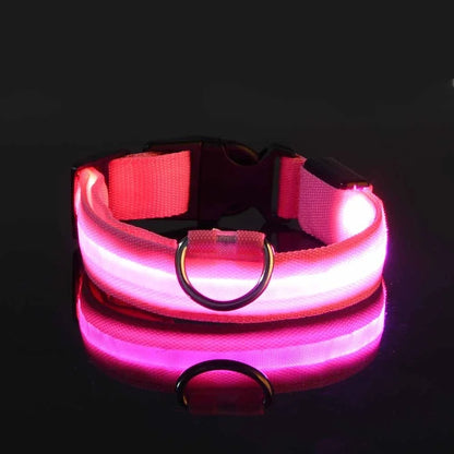 Dog Collar LED Night Safety Flashing Glow In The Dark Pet Dog Leash