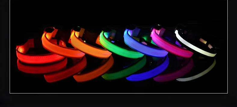 Dog Collar LED Night Safety Flashing Glow In The Dark Pet Dog Leash