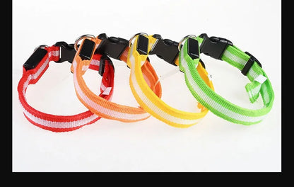 Dog Collar LED Night Safety Flashing Glow In The Dark Pet Dog Leash