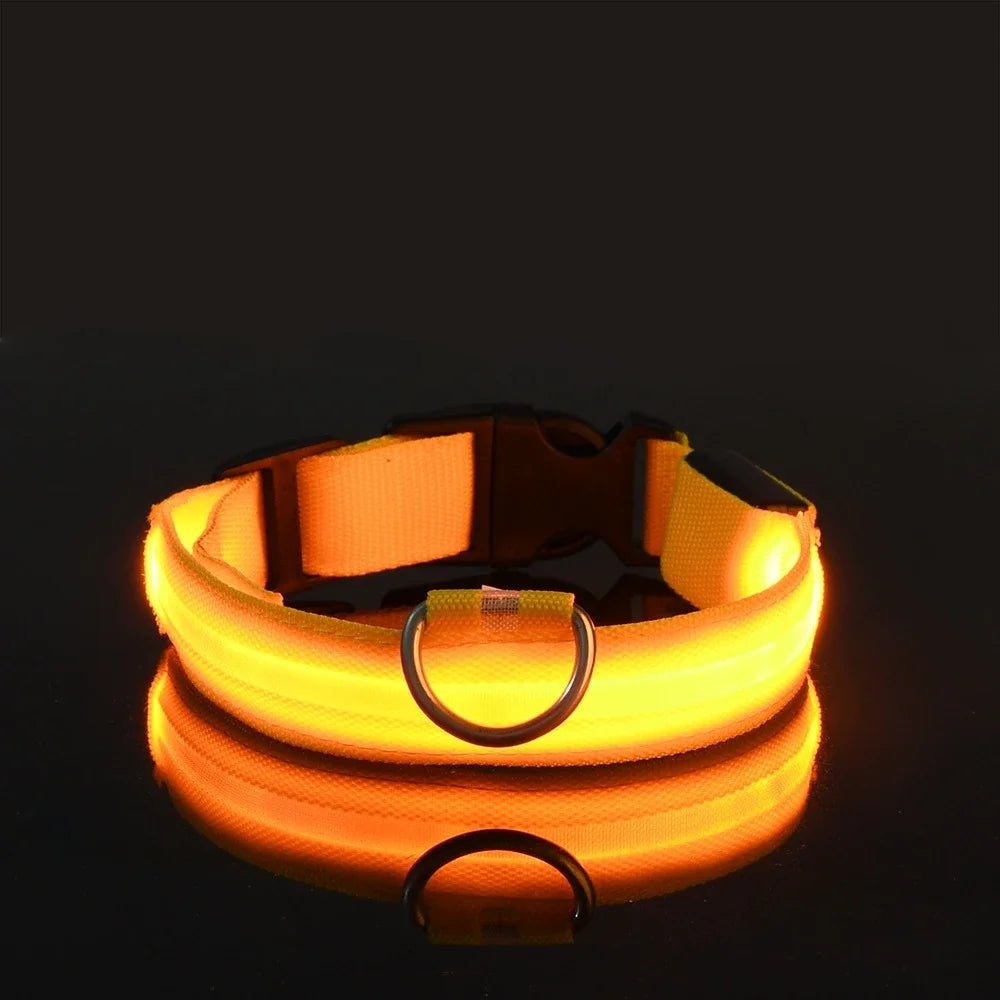 Dog Collar LED Night Safety Flashing Glow In The Dark Pet Dog Leash